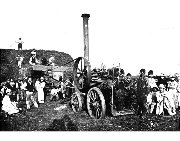Threshing in Cornwall. Around 1880s or 1890s