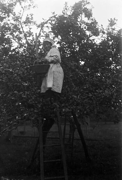 Member of the First World War Womens Land Army. Cornwall. Autumn 1917