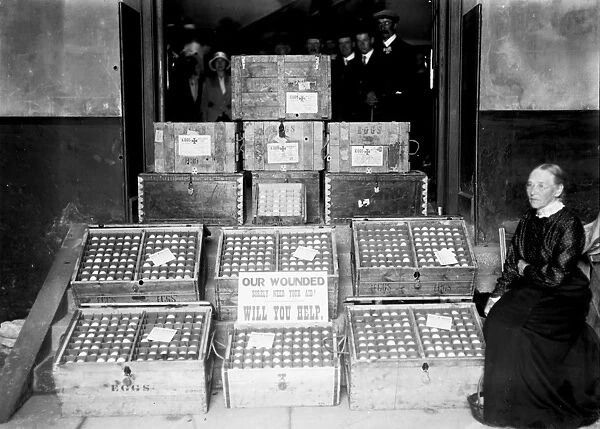 A weeks supply of eggs in Truro, Cornwall. August 1915?