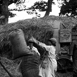 Members of the First World War Womens Land Army. Tregavethan Farm, Truro, Cornwall. June 1917