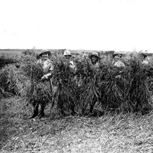 Members of the First World War Womens Land Army. Tregavethan Farm, Truro, Cornwall. August 1917