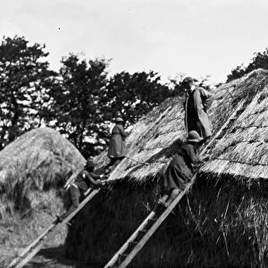 Members of the First World War Womens Land Army thatching a hay rick. Tregavethan Farm, Truro, Cornwall. Summer 1918