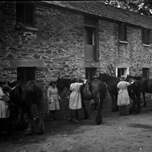Members of the First World War Womens Land Army grooming horses. Tregavethan Farm, Truro, Cornwall. Around 1917