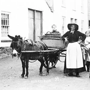 Selling vegetables from a donkey cart, Copperhouse, Hayle, Cornwall. Early 1900s