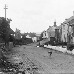 Trispen, St Erme, Cornwall. Early 1900s