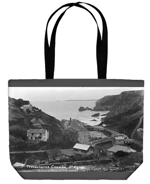 Trevaunance Coombe with steamworks in foreground below Wheal Friendly, St Agnes, Cornwall. Early 1900s