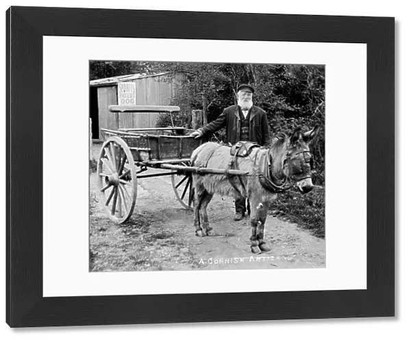 Man with donkey cart, Truro, Cornwall. Around 1900