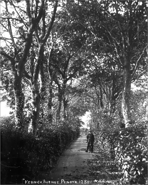 Kernick Avenue, Penryn, Cornwall. Around 1904