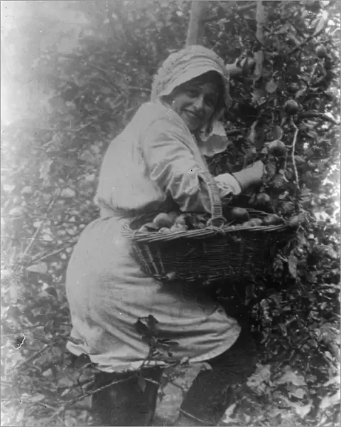 Member of the First World War Womens Land Army. Cornwall. Autumn 1917