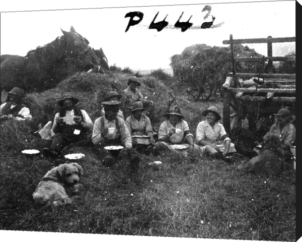 Members of the First World War Womens Land Army and farm hands. Tregavethan Farm, Truro, Cornwall. July 1917