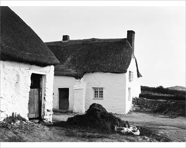Treguth Farm. Holywell Bay, Cubert, Cornwall. 1903