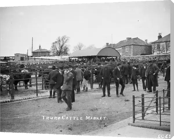 Cattle Market, Castle Hill, Truro, Cornwall. Early 1900s