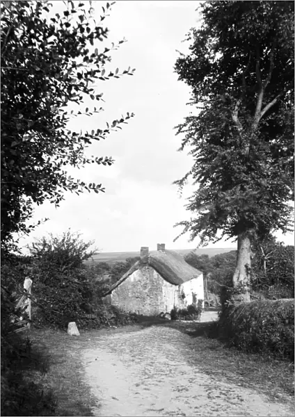 Thatched cottage on Blackydown Lane, Idless, Cornwall. Early 1900s
