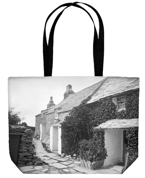Cottages at Tregatta, Tintagel, Cornwall. 1907