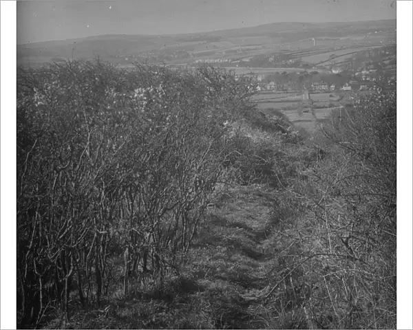 View of Angarrack Incline, Hayle railway long abandoned, near Hayle, Cornwall. Date unknown