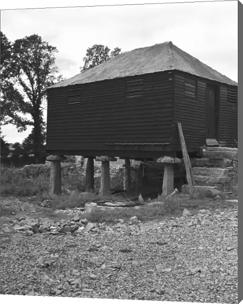Wooden granary building on staddle stones, Shillingham Manor Farm, St Stephens by Saltash, Cornwall. 1961
