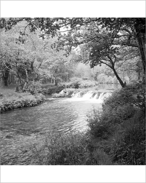 River Lynher, near Clapper Bridge, Quethiock, Cornwall. Possibly summer 1964