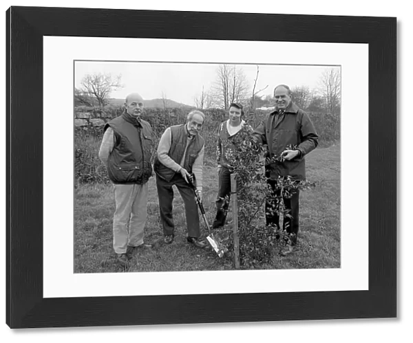 Tree Planting, Lostwithiel, Cornwall. December 1989