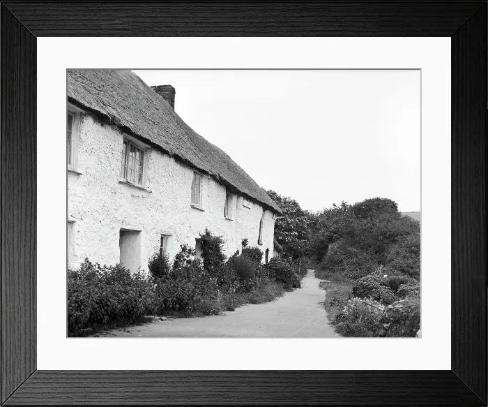Framed Print : Thatched cottages at Bolingey, Perranzabuloe, Cornwall. 1906