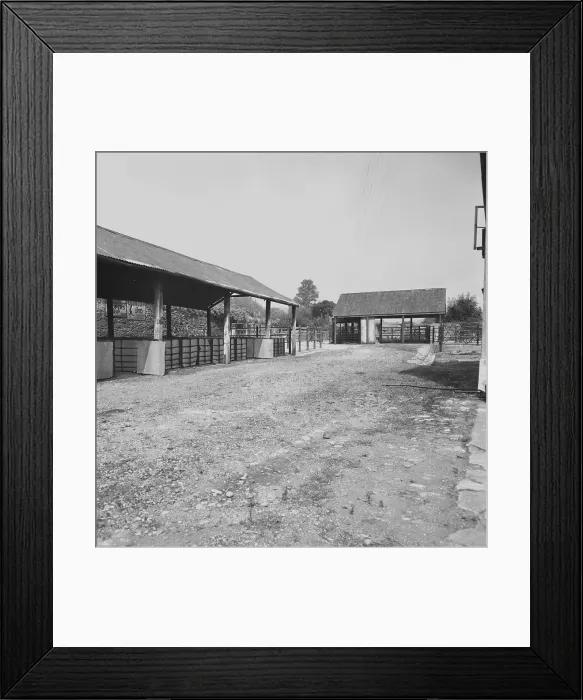 Framed Print : Cattle market, Lostwithiel, Cornwall. 1973