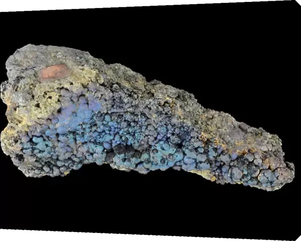 Chalcocite with Chalcopyrite, Tincroft Mine, Illogan, Cornwall, England