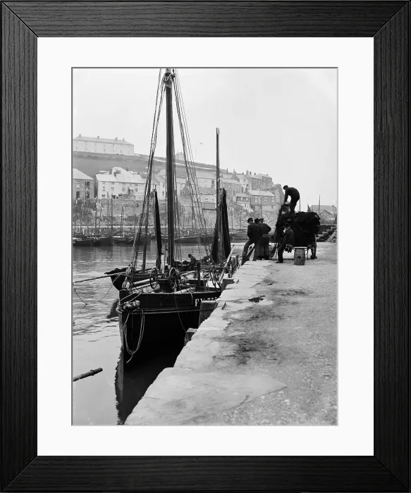 Framed Print : TRURI-MEVgv-21 Framed Print : TRURI-MEVgv-21