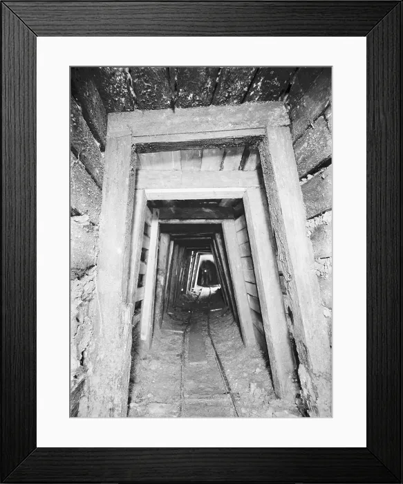 Framed Print : TRURI-MIeli-7 Framed Print : TRURI-MIeli-7