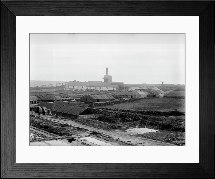 Framed Print : TRURI-MIgre-18