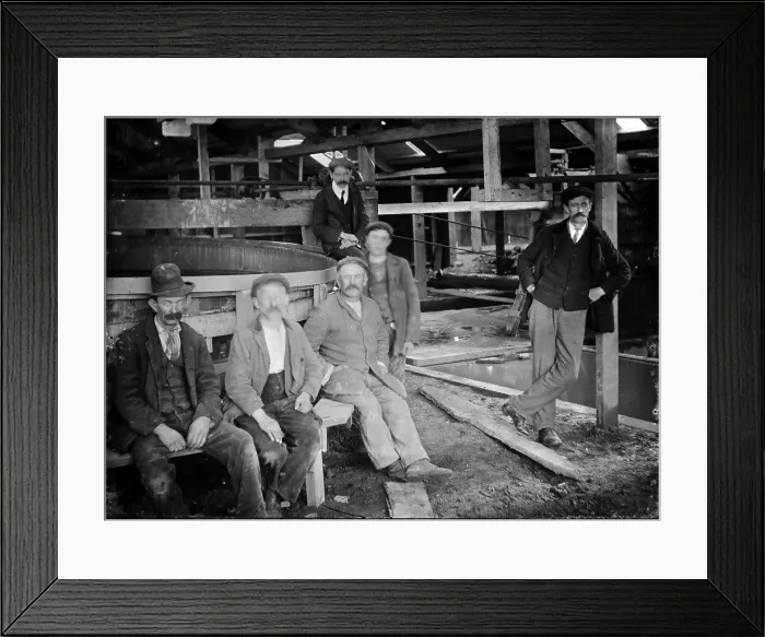 Framed Print : TRURI-MIgre-29