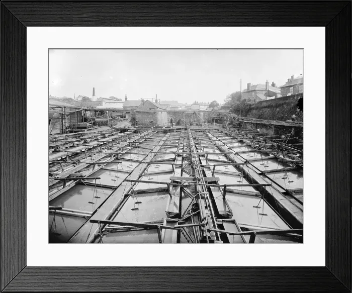 Framed Print : TRURI-MIrer-1