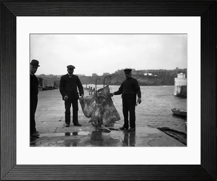 Framed Print : TRURI-NWQhs-16