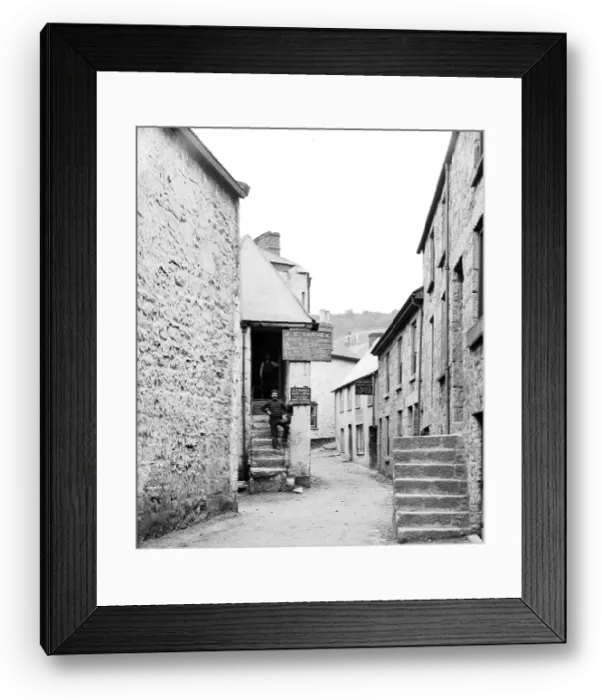 Framed Print : TRURI-NWPgv-1 Framed Print : TRURI-NWPgv-1