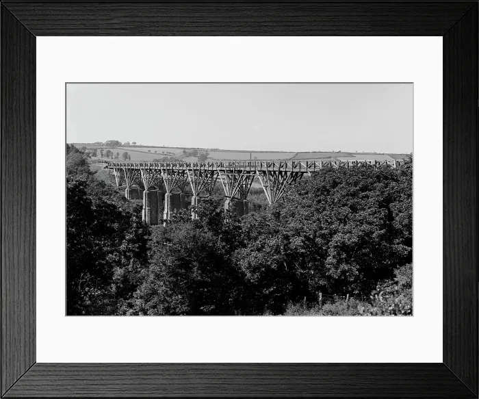 Framed Print : TRURI-RYpst-1