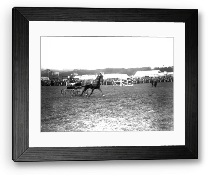 Framed Print : TRURI-1972-2-415