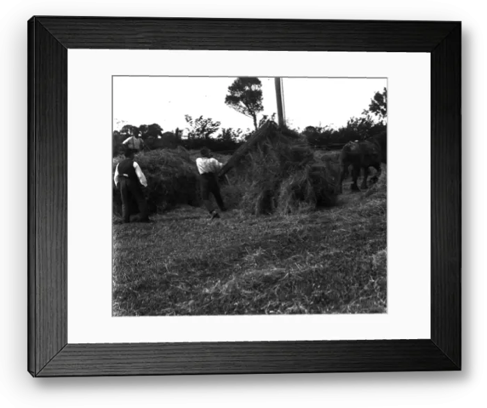 Framed Print : TRURI-1972-2-420