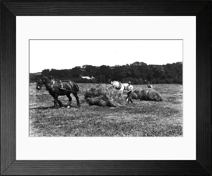 Framed Print : TRURI-1972-2-423 Framed Print : TRURI-1972-2-423