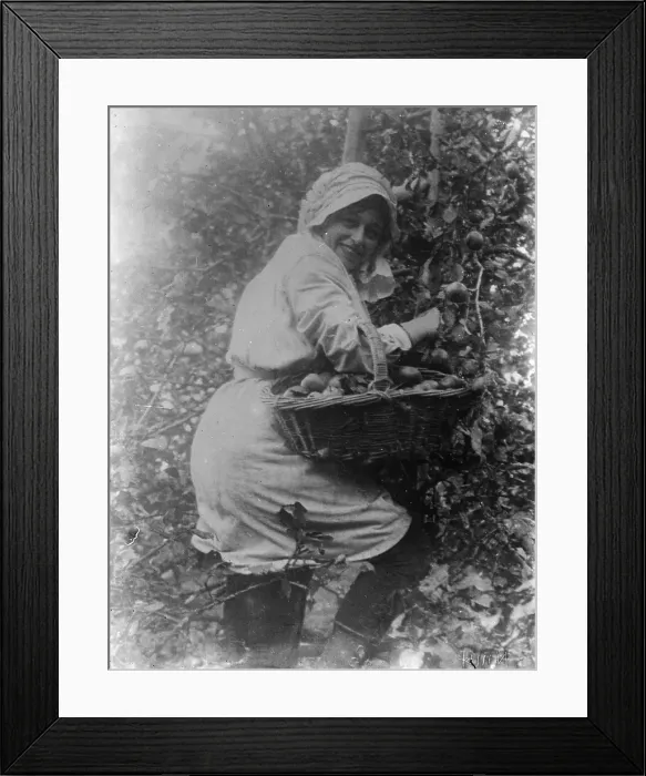 Framed Print : TRURI-1972-2-254 Framed Print : TRURI-1972-2-254