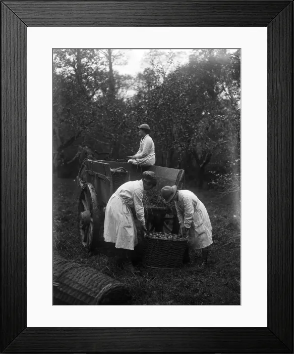 Framed Print : TRURI-1972-2-258