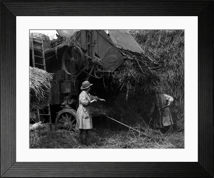 Framed Print : TRURI-1972-2-284 Framed Print : TRURI-1972-2-284