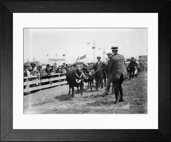Framed Print : TRURI-1972-2-292