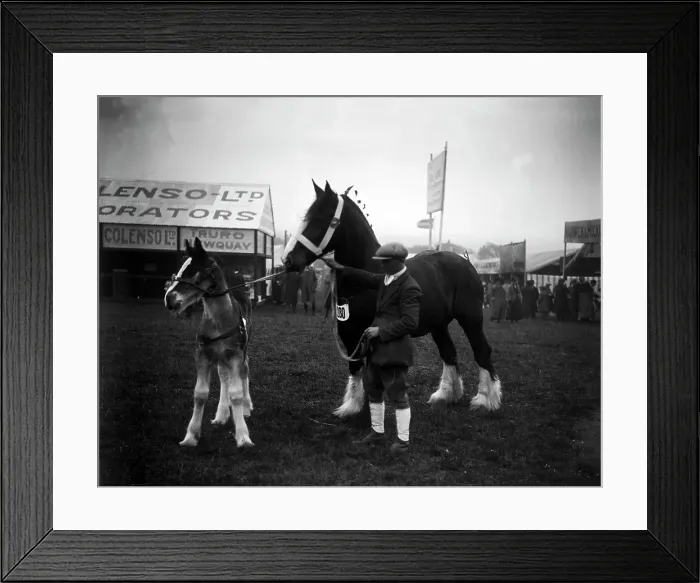 Framed Print : TRURI-1972-2-450