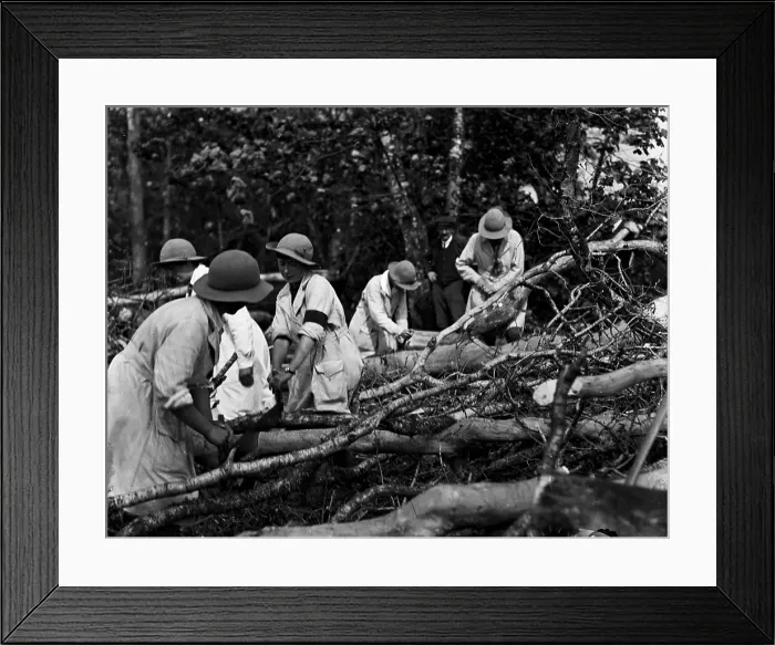 Framed Print : TRURI-1972-2-293
