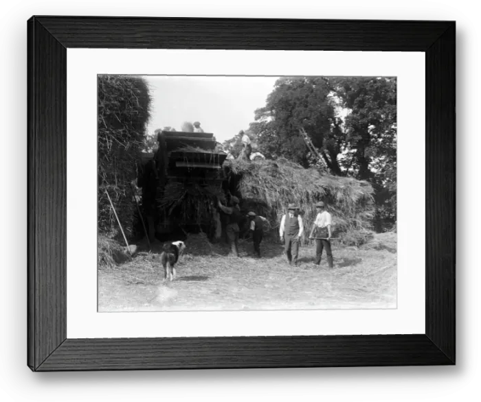 Framed Print : TRURI-1972-2-452