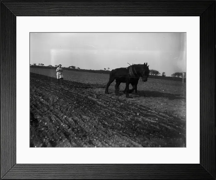 Framed Print : TRURI-1972-2-53