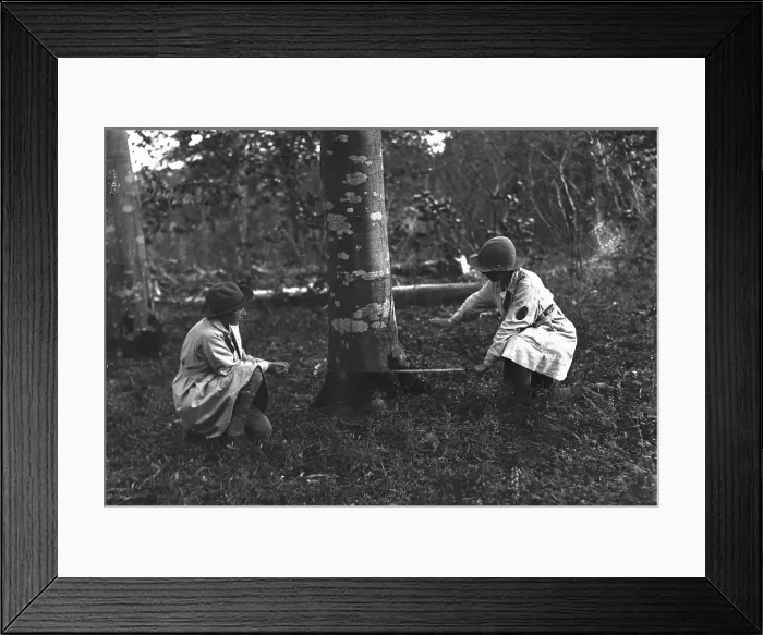 Framed Print : TRURI-1972-2-6 Framed Print : TRURI-1972-2-6