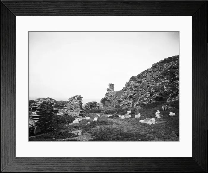 Framed Print : TRURI-TINca-3 Framed Print : TRURI-TINca-3