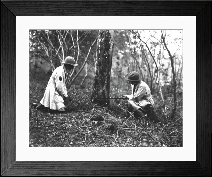 Framed Print : TRURI-1972-2-7
