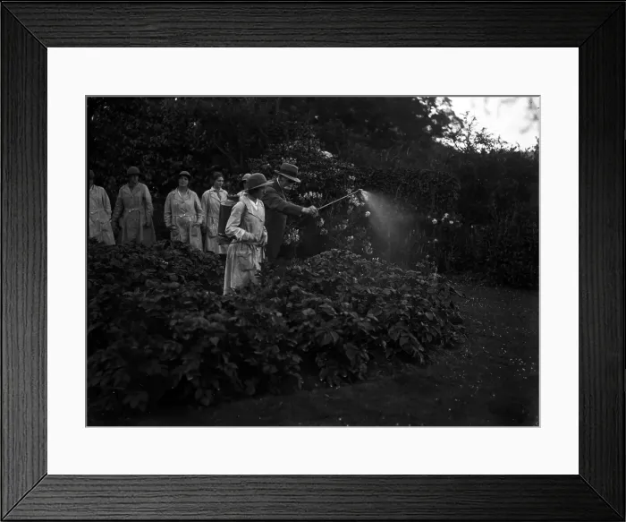 Framed Print : TRURI-1972-2-88