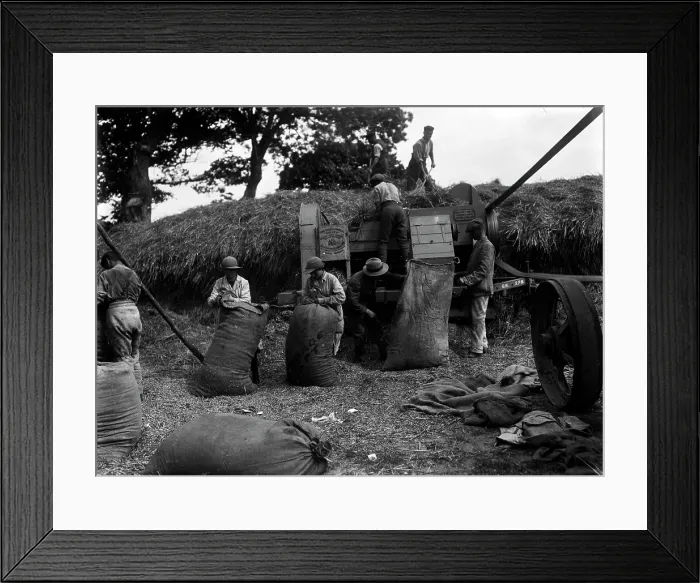 Framed Print : TRURI-1972-2-89 Framed Print : TRURI-1972-2-89