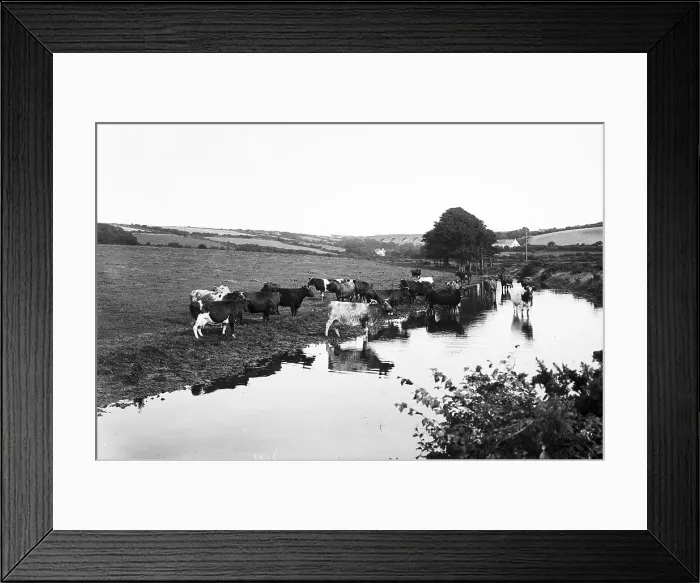 Framed Print : TRURI-RYchw-1